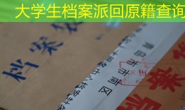 大学生档案派回原籍查询