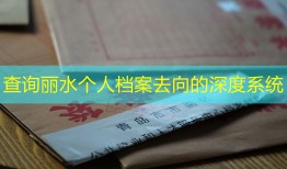 查询丽水个人档案去向的深度系统
