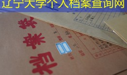 辽宁大学个人档案查询网