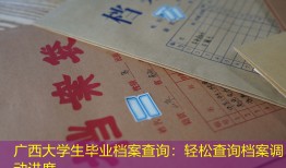 广西大学生毕业档案查询：轻松查询档案调动进度