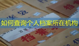 如何查询个人档案所在机构