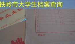 铁岭市大学生档案查询