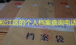 松江区的个人档案查询电话
