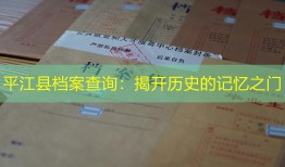 平江县档案查询：揭开历史的记忆之门