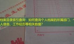 档案目录索引查询：如何查询个人档案的所属部门、个人信息、工作经历等相关数据？