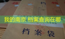 我的南京 档案查询在哪
