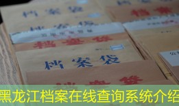 黑龙江档案在线查询系统介绍