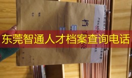 东莞智通人才档案查询电话