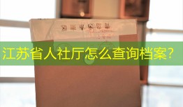 江苏省人社厅怎么查询档案？