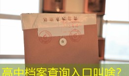 高中档案查询入口叫啥？