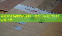 安徽政务档案查询系统：官方记录查询平台全面上线