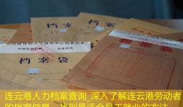 连云港人力档案查询_深入了解连云港劳动者的档案信息，找到最适合员工就业的方法
