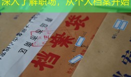 深入了解职场，从个人档案开始