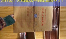 为什么个人档案找不到或查询不了？