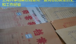 上海人事档案在线查询：查询您的就业历史和工作经验