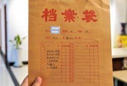 托管和查询自己的档案