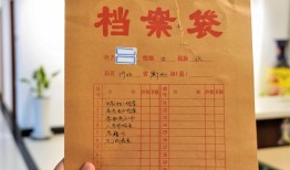 托管和查询自己的档案