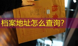 档案地址怎么查询？