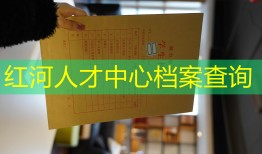 红河人才中心档案查询