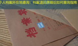 个人档案所在地查询：档案退回原籍后如何查询指南