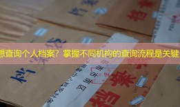 想查询个人档案？掌握不同机构的查询流程是关键