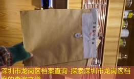 深圳市龙岗区档案查询-探索深圳市龙岗区档案的查询之道
