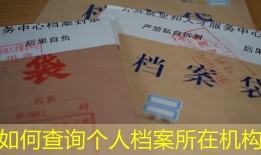 如何查询个人档案所在机构