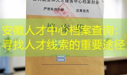 安徽人才中心档案查询：寻找人才线索的重要途径