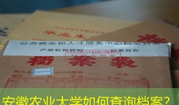 安徽农业大学如何查询档案？