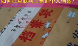 如何在互联网上查询个人档案？