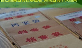 自己档案查询在哪查看_如何查询个人档案？