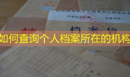 如何查询个人档案所在的机构