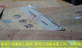 黑龙江档案网上查询_黑龙江档案全面上网，实现便捷查询&nbsp;——个人档案退回原籍后的查询指南