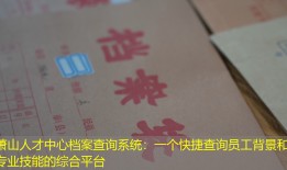 萧山人才中心档案查询系统：一个快捷查询员工背景和专业技能的综合平台