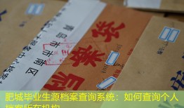 肥城毕业生源档案查询系统：如何查询个人档案所在机构