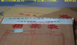 肇州档案查询——寻觅肇州档案，一触即达