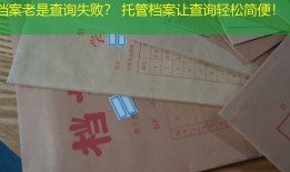 档案老是查询失败？ 托管档案让查询轻松简便！