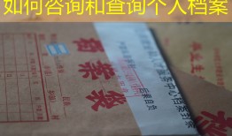如何咨询和查询个人档案