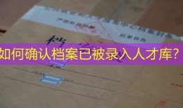 如何确认档案已被录入人才库？