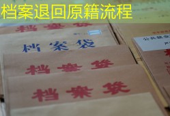 档案退回原籍流程