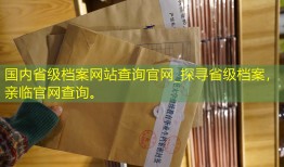 国内省级档案网站查询官网_探寻省级档案，亲临官网查询。