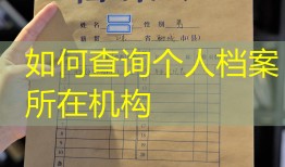 如何查询个人档案所在机构