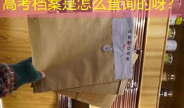 高考档案是怎么查询的呀？