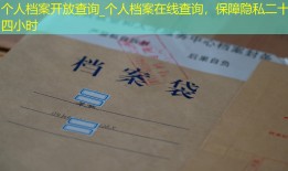 个人档案开放查询_个人档案在线查询，保障隐私二十四小时