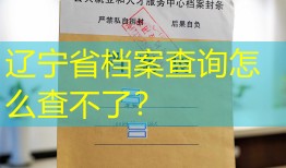 辽宁省档案查询怎么查不了？