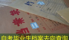 自考毕业生档案去向查询