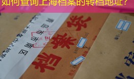 如何查询上海档案的转档地址？