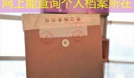 网上能查询个人档案所在