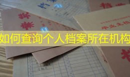 如何查询个人档案所在机构