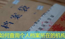 如何查询个人档案所在的机构